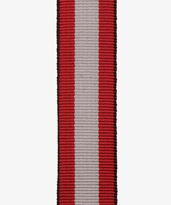 Freie Stadt Danzig, Feuerwehr-Ehrenzeichen, Miniatur (384)